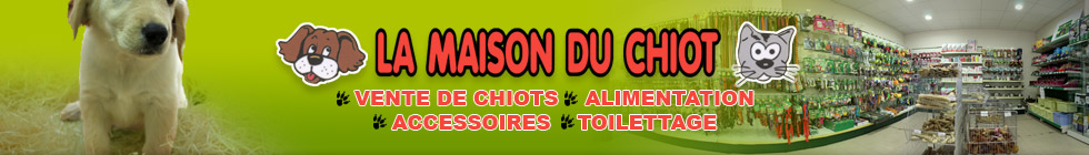 La Maison du Chiot : vente de chiots, alimentation, accessoires, toilettage
