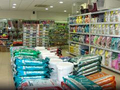 La Maison du Chiot à Besançon : Vente chiens, chats et rongeurs