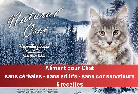 Coquettes naturelles chats